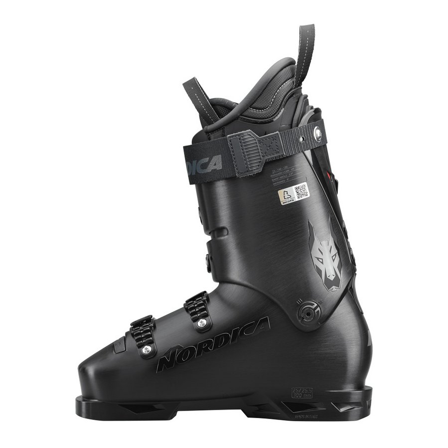 050a2200100_dobermann_5_m_2_3029865