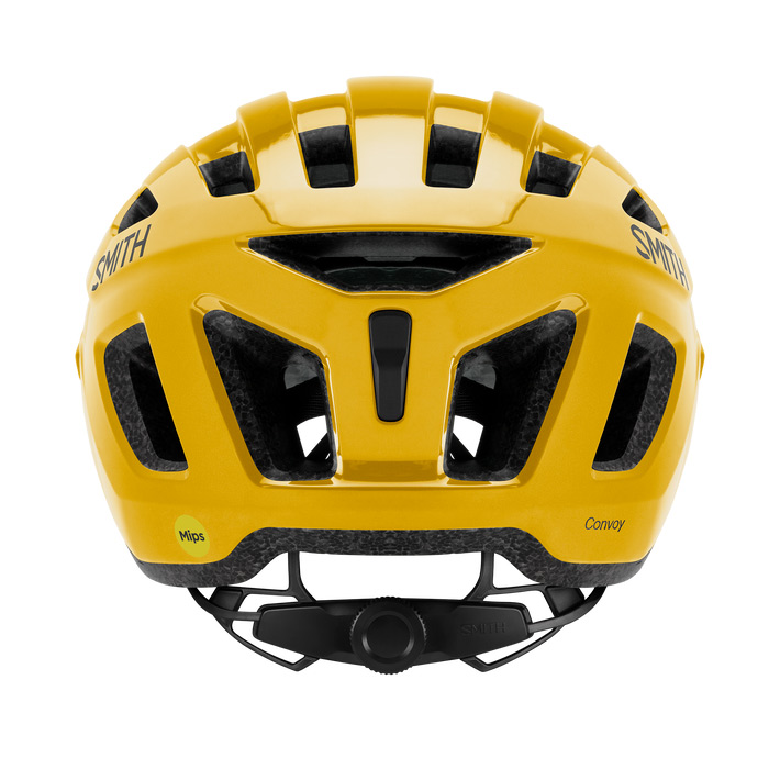 convoy_helmet_foolsgold_back_2982461