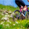 fast_bibshort_2649961