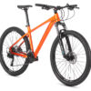 radius_elite_27_5_tiger_amber_2_2954954