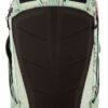 scrambler_dead_flower_detail_backpanel_2240417
