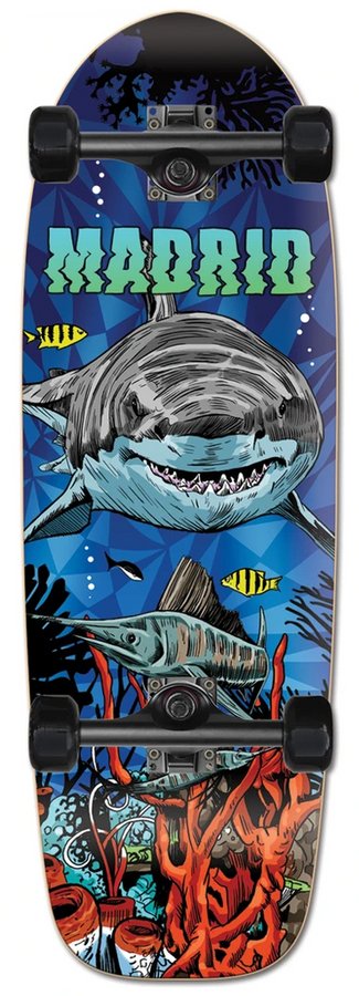 shark_1_1552317