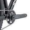 spider_sport_2_2982764