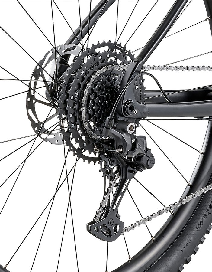 spider_sport_3_2982766
