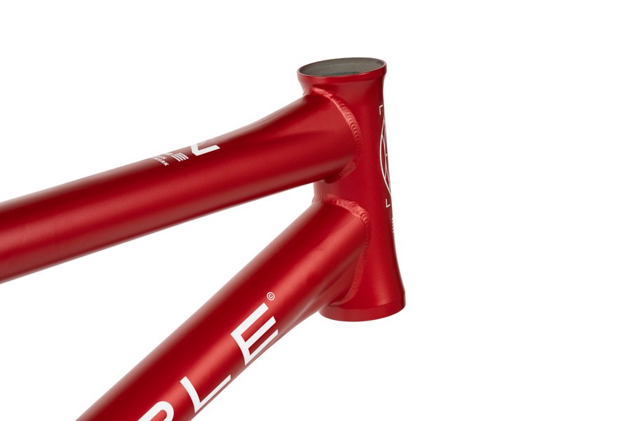 wtp_my22_network_frame_red_10_2798287
